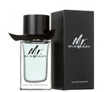Ficha técnica e caractérísticas do produto Perfume Mr. Masculino Eau de Toilette 100ml - Burberry