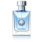 Ficha técnica e caractérísticas do produto Perfume Pour Homme Masculino Versace EDT 100ml