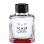 Ficha técnica e caractérísticas do produto Perfume Power Of Seduction EDT 100ml Antonio Banderas