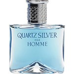 Ficha técnica e caractérísticas do produto Perfume Quartz Silver Pour Homme Masculino Eau de Toilette 100ml Molyneux