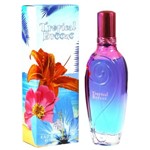 Perfume Real Time Tropical Breeze Edp F 100ml