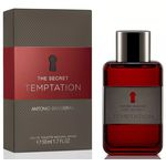 Ficha técnica e caractérísticas do produto Perfume Secret Temptation 50ml