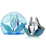 Ficha técnica e caractérísticas do produto Perfume Silver Light Masculino Eau de Parfum 100Ml