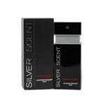 Ficha técnica e caractérísticas do produto Perfume Silver Scent Intence 100 ML Masculino
