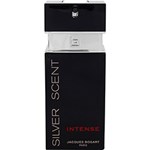 Perfume Silver Scent Intense Masculino Eau de Toilette 100ml Jacques Bogart