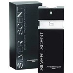Ficha técnica e caractérísticas do produto Perfume Silver Scent Jacques Bogart Eau de Toilette Masculino 100 Ml