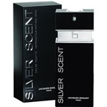 Ficha técnica e caractérísticas do produto Perfume Silver Scent Masculino 100ml - Importado