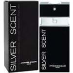 Ficha técnica e caractérísticas do produto Perfume Silver Scent