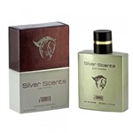 Perfume SILVER SCENTS EDT Masc 100 Ml - I Scents Familia Olfativa Ferrari Silver Essence - Importado