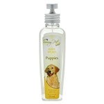 Ficha técnica e caractérísticas do produto Perfume Sunny Pet Gold Body Splash Puppies Filhotes