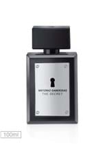 Ficha técnica e caractérísticas do produto Perfume The Secret Antonio Banderas 100ml
