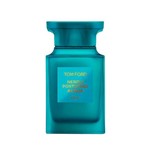 Ficha técnica e caractérísticas do produto Perfume Tom Ford Neroli Portofino Acqua Unissex EDT 100ML