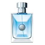 Ficha técnica e caractérísticas do produto Perfume Versace Pour Homme Eau de Toilette Masculino 100ml - 100ml