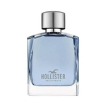 Ficha técnica e caractérísticas do produto Perfume Wave For Him Masculino EdT 100ml - Hollister 26001