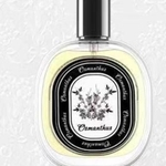 Ficha técnica e caractérísticas do produto Persistence Fresh and Light Fragrance Women's perfumes Floral Fragrance 50ml
