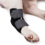Ficha técnica e caractérísticas do produto Pet ferida Bandage Dog Leg Brace Cat animal auto aderente Enrole Prevent Pet Licking 1PC Wound Home Garden Tools