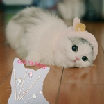 Ficha técnica e caractérísticas do produto Pet Toy Cat Madeira bonito Rod Aceno Bird Point mouse Forma com Bell