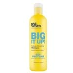 Ficha técnica e caractérísticas do produto Phil Smith Big It Up - Shampoo 350ml