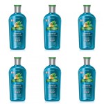 Ficha técnica e caractérísticas do produto Phytoervas Anticaspa Shampoo 250ml (Kit C/06)