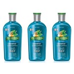 Ficha técnica e caractérísticas do produto Phytoervas Anticaspa Shampoo 250ml - Kit com 03