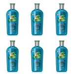 Ficha técnica e caractérísticas do produto Phytoervas Anticaspa Shampoo 250ml - Kit com 06