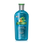 Ficha técnica e caractérísticas do produto Phytoervas Anticaspa Shampoo 250Ml