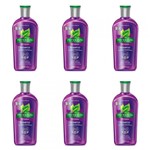 Ficha técnica e caractérísticas do produto Phytoervas Antiqueda Shampoo 250ml (Kit C/06)