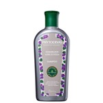 Ficha técnica e caractérísticas do produto Phytoervas Desamarelador Flores de Violeta - Shampoo 250ml