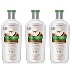 Ficha técnica e caractérísticas do produto Phytoervas Hidratação Intensa Shampoo 250ml - Kit com 03