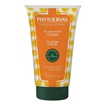 Ficha técnica e caractérísticas do produto Phytoervas Sol Mar e Piscina DD Cream Capilar