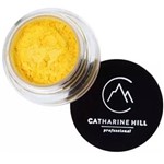 Ficha técnica e caractérísticas do produto Pigmento em Pó Catharine Hill - Yellow