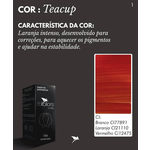 Ficha técnica e caractérísticas do produto Pigmento Rb Kollors Scalp Teacup 15ml