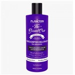 Ficha técnica e caractérísticas do produto Plancton Professional - The Grand Cru Shampoo Blond Liso Absoluto - 500ml