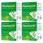 Ficha técnica e caractérísticas do produto Planta gold plantago ovata psyllium em 10 sachês Arte Nativa - kit 4 caixas