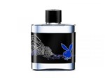Ficha técnica e caractérísticas do produto Playboy New York Perfume Masculino - Eau de Toilette 100ml