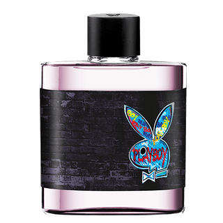 Ficha técnica e caractérísticas do produto Playboy New York Playboy - Perfume Masculino - Eau de Toilette 50ml