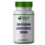 Ficha técnica e caractérísticas do produto Polypodium Leucotomus 250Mg 60 Cápsulas