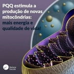 Ficha técnica e caractérísticas do produto PQQ Pirroloquinolina Quinona 11,5mg