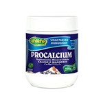 Procalcium Cálcio e Magnésio 400g em Pó - Unilife -