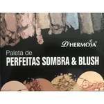 Professional Color Paleta De Perfeitas Sombra & Blush 22 Colors Palette D'Hermosa
