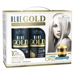 Ficha técnica e caractérísticas do produto Progressiva Salvatore Blue Gold Reestruturação Tanínica 2x500 Ml com Brinde