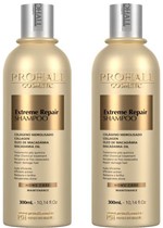 Ficha técnica e caractérísticas do produto PROHALL - Kit 2 Shampoo Extreme Repair 300ml X2