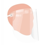 Ficha técnica e caractérísticas do produto Protetor Facial Face Shield Transparente 341x245mm - Dac
