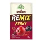 Ficha técnica e caractérísticas do produto Remix Berry Mãe Terra com 25g