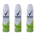 Ficha técnica e caractérísticas do produto Rexona Erva Doce Desodorante Aerosol Feminino 90g - Kit com 03