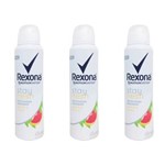 Ficha técnica e caractérísticas do produto Rexona Pomelo & Verbena Desodorante Aerosol Feminino 90g - Kit com 03