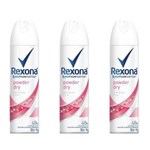 Ficha técnica e caractérísticas do produto Rexona Powder Dry Desodorante Aerosol Feminino 90g - Kit com 03