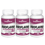 Ficha técnica e caractérísticas do produto Riboflavina Vitamina B2 – Semprebom - 180 Cap. De 240 Mg