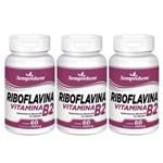 Ficha técnica e caractérísticas do produto Riboflavina Vitamina B2 – Semprebom – 180 Cap. de 240 Mg.