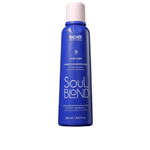Ficha técnica e caractérísticas do produto Richée Professional Soul Blond - Shampoo Desamarelador 250ml